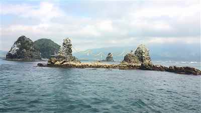 春の鹿島祭り大注連縄2