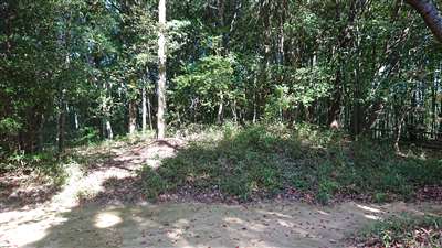 天山神社から見た松山城3